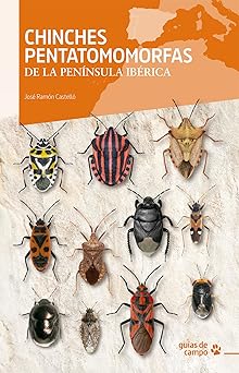 Chinches-pentatomomorfas-de-la-peninsula-iberica-orioko-hegaztiak