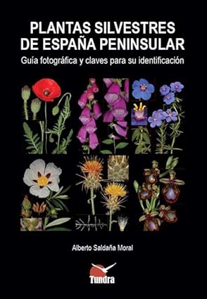 Plantas-silvestres-de-espana-peninsular-orioko-hegaztiak