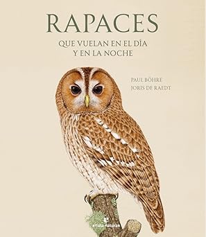 Rapaces-que-vuelan-en-el-dia-y-en-la-noche-orioko-hegaztiak